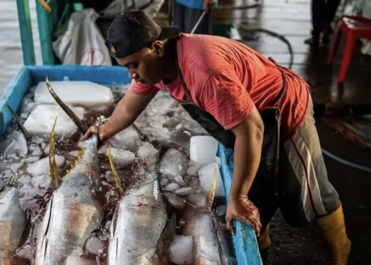 pak fish